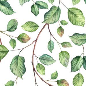 Meet your Posher, Cynthia samantha